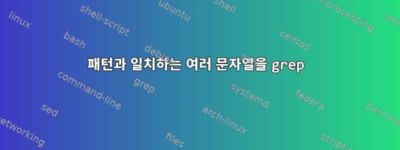 패턴과 일치하는 여러 문자열을 grep