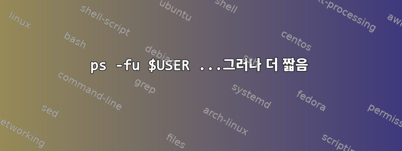 ps -fu $USER ...그러나 더 짧음