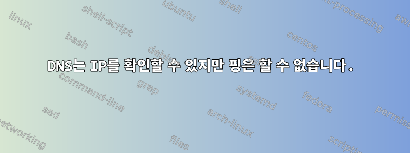 DNS는 IP를 확인할 수 있지만 핑은 할 수 없습니다.