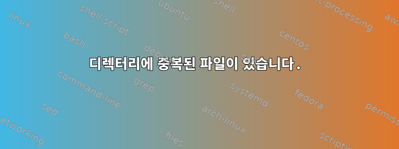 디렉터리에 중복된 파일이 있습니다.