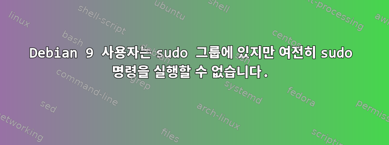 Debian 9 사용자는 sudo 그룹에 있지만 여전히 sudo 명령을 실행할 수 없습니다.