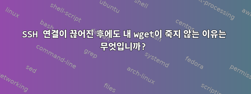 SSH 연결이 끊어진 후에도 내 wget이 죽지 않는 이유는 무엇입니까?