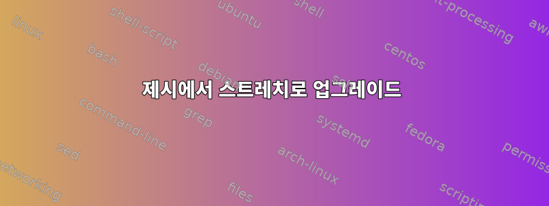 제시에서 스트레치로 업그레이드