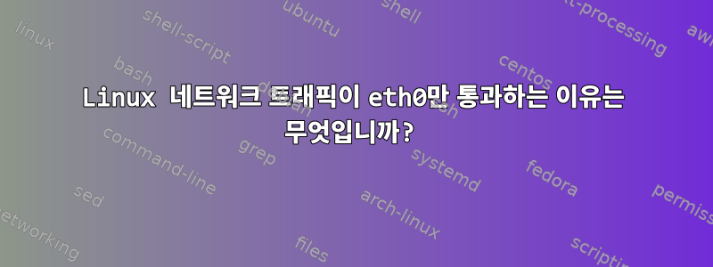 Linux 네트워크 트래픽이 eth0만 통과하는 이유는 무엇입니까?