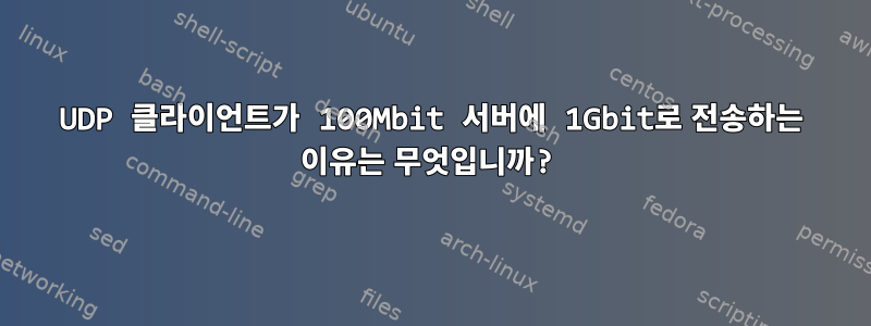 UDP 클라이언트가 100Mbit 서버에 1Gbit로 전송하는 이유는 무엇입니까?