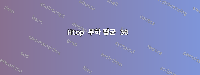 Htop 부하 평균 30