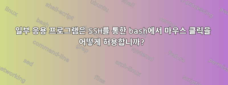 일부 응용 프로그램은 SSH를 통한 bash에서 마우스 클릭을 어떻게 허용합니까?