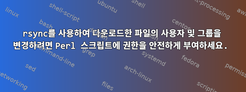 rsync를 사용하여 다운로드한 파일의 사용자 및 그룹을 변경하려면 Perl 스크립트에 권한을 안전하게 부여하세요.