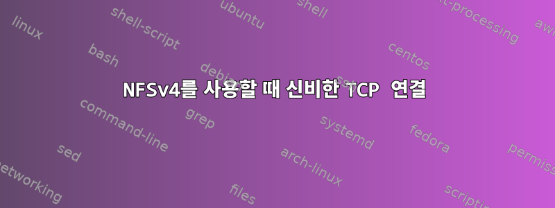 NFSv4를 사용할 때 신비한 TCP 연결