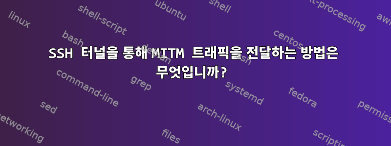 SSH 터널을 통해 MITM 트래픽을 전달하는 방법은 무엇입니까?