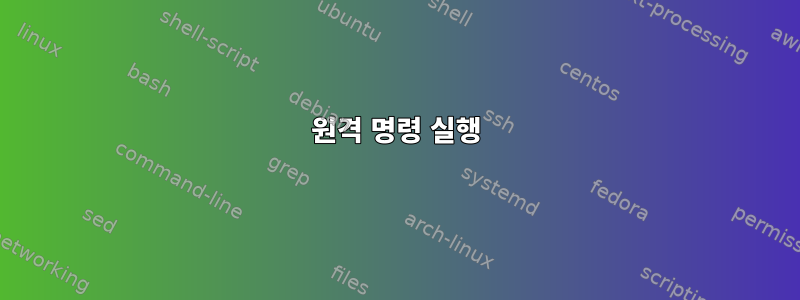 원격 명령 실행