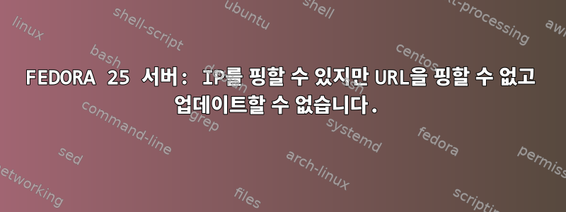 FEDORA 25 서버: IP를 핑할 수 있지만 URL을 핑할 수 없고 업데이트할 수 없습니다.