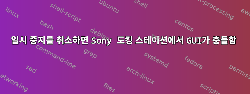 일시 중지를 취소하면 Sony 도킹 스테이션에서 GUI가 충돌함