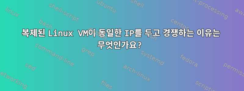 복제된 Linux VM이 동일한 IP를 두고 경쟁하는 이유는 무엇인가요?