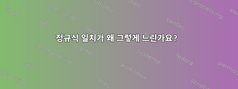 정규식 일치가 왜 그렇게 느린가요?