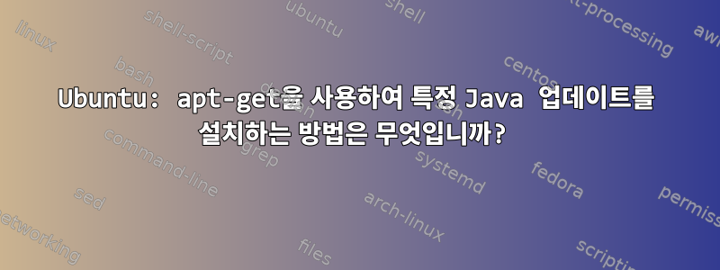 Ubuntu: apt-get을 사용하여 특정 Java 업데이트를 설치하는 방법은 무엇입니까?