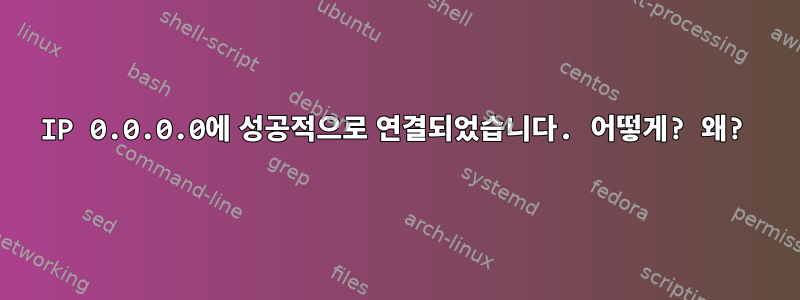 IP 0.0.0.0에 성공적으로 연결되었습니다. 어떻게? 왜?