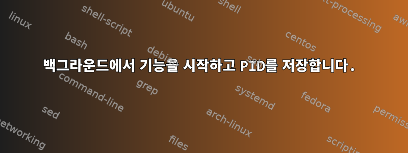 백그라운드에서 기능을 시작하고 PID를 저장합니다.