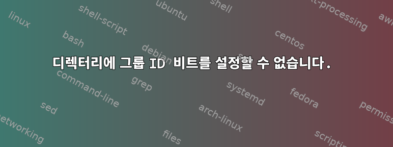 디렉터리에 그룹 ID 비트를 설정할 수 없습니다.