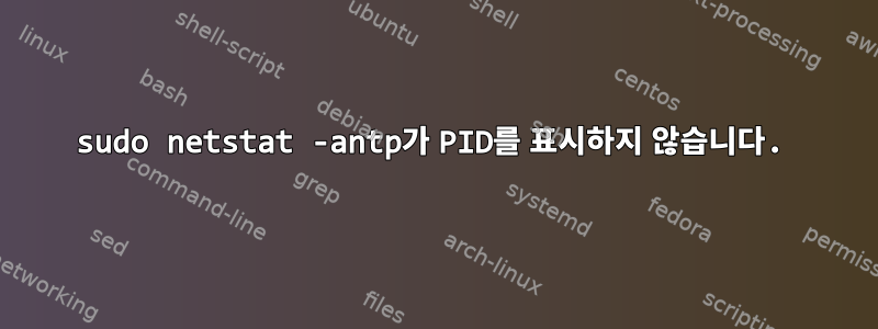 sudo netstat -antp가 PID를 표시하지 않습니다.