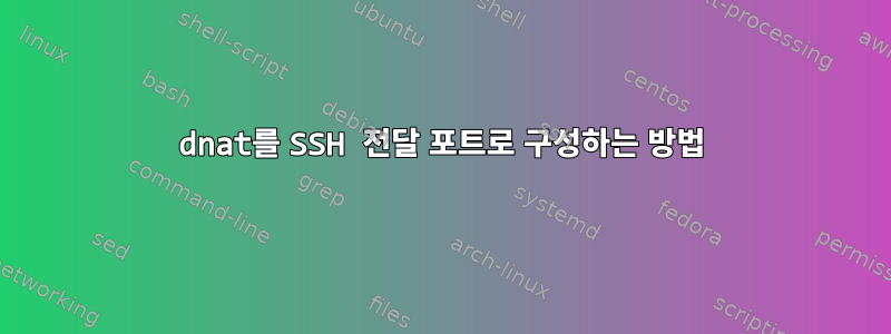 dnat를 SSH 전달 포트로 구성하는 방법