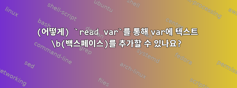 (어떻게) `read var`를 통해 var에 텍스트 \b(백스페이스)를 추가할 수 있나요?