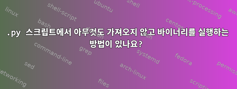 .py 스크립트에서 아무것도 가져오지 않고 바이너리를 실행하는 방법이 있나요?