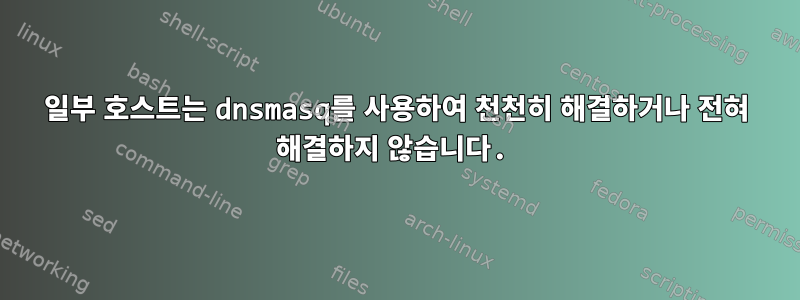 일부 호스트는 dnsmasq를 사용하여 천천히 해결하거나 전혀 해결하지 않습니다.