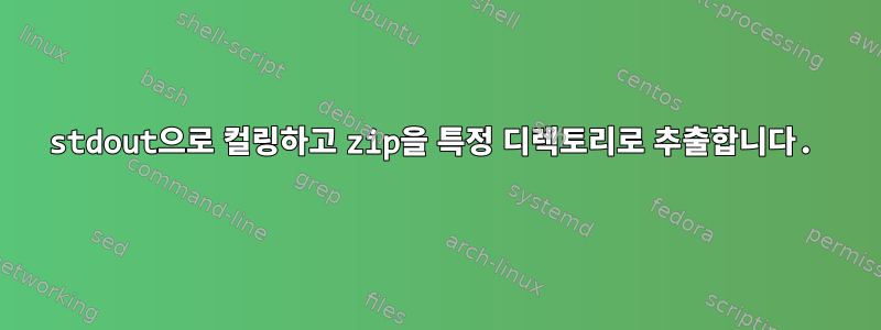 stdout으로 컬링하고 zip을 특정 디렉토리로 추출합니다.