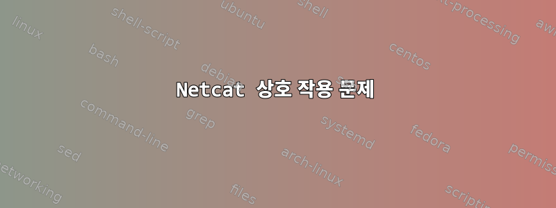 Netcat 상호 작용 문제