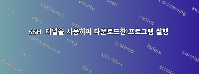 SSH 터널을 사용하여 다운로드한 프로그램 실행