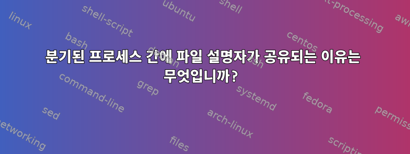 분기된 프로세스 간에 파일 설명자가 공유되는 이유는 무엇입니까?