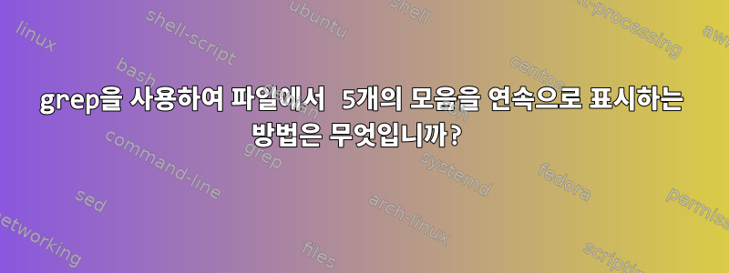 grep을 사용하여 파일에서 5개의 모음을 연속으로 표시하는 방법은 무엇입니까?