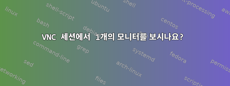 VNC 세션에서 1개의 모니터를 보시나요?