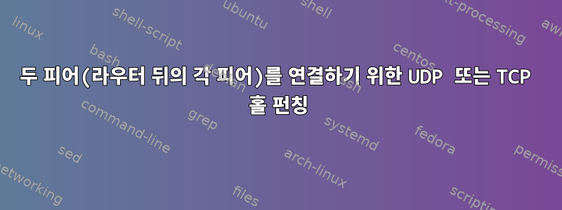 두 피어(라우터 뒤의 각 피어)를 연결하기 위한 UDP 또는 TCP 홀 펀칭