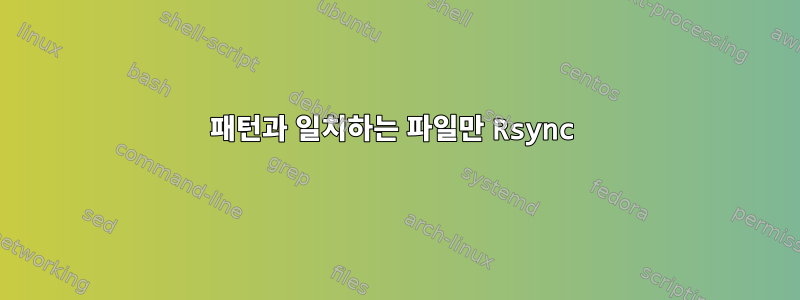 패턴과 일치하는 파일만 Rsync