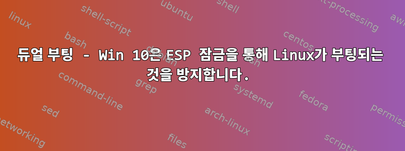 듀얼 부팅 - Win 10은 ESP 잠금을 통해 Linux가 부팅되는 것을 방지합니다.