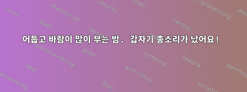 어둡고 바람이 많이 부는 밤. 갑자기 총소리가 났어요!