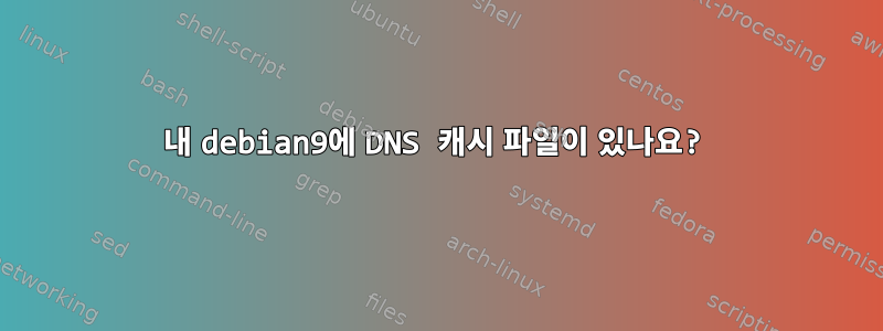 내 debian9에 DNS 캐시 파일이 있나요?