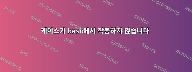 케이스가 bash에서 작동하지 않습니다