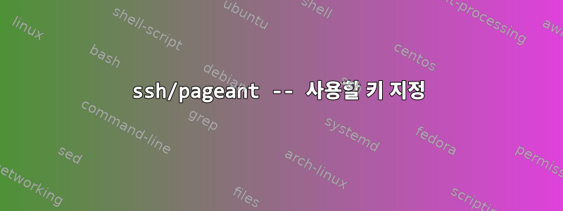 ssh/pageant -- 사용할 키 지정