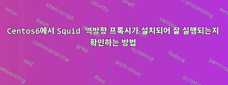 Centos6에서 Squid 역방향 프록시가 설치되어 잘 실행되는지 확인하는 방법