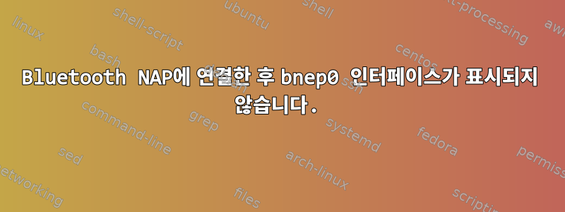 Bluetooth NAP에 연결한 후 bnep0 인터페이스가 표시되지 않습니다.