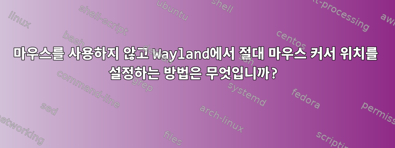 마우스를 사용하지 않고 Wayland에서 절대 마우스 커서 위치를 설정하는 방법은 무엇입니까?