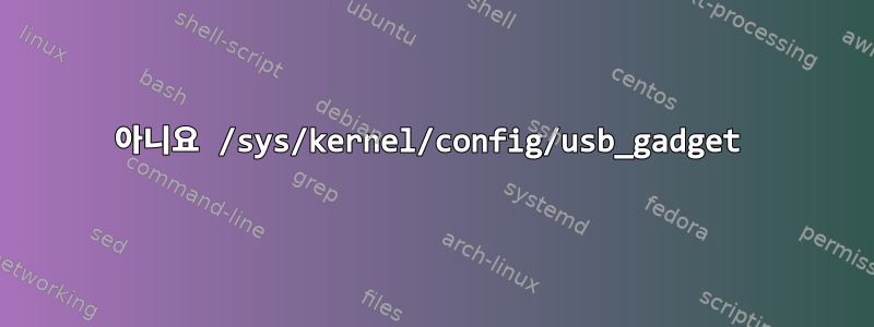 아니요 /sys/kernel/config/usb_gadget