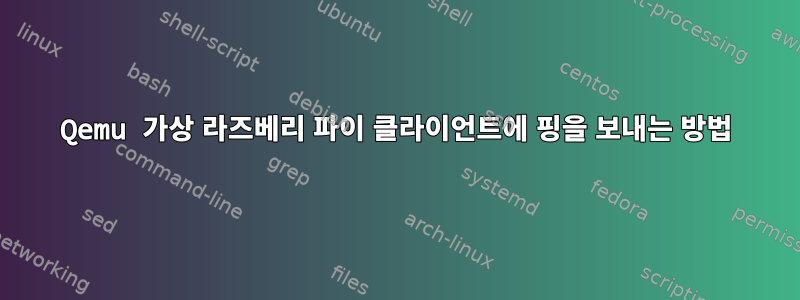 Qemu 가상 라즈베리 파이 클라이언트에 핑을 보내는 방법