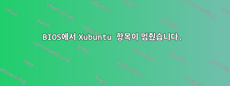 BIOS에서 Xubuntu 항목이 멈췄습니다.