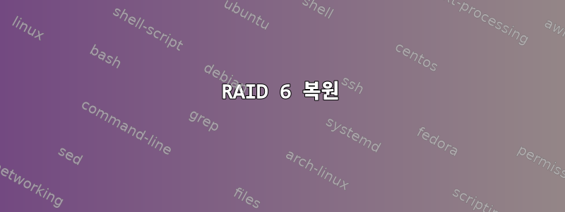 RAID 6 복원