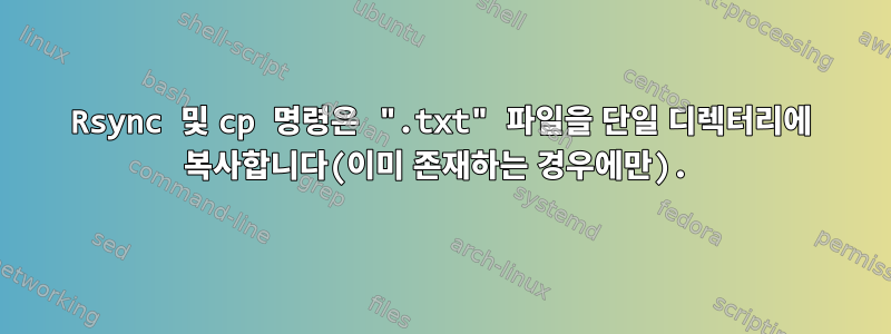 Rsync 및 cp 명령은 ".txt" 파일을 단일 디렉터리에 복사합니다(이미 존재하는 경우에만).