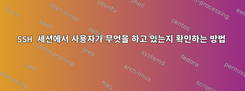 SSH 세션에서 사용자가 무엇을 하고 있는지 확인하는 방법